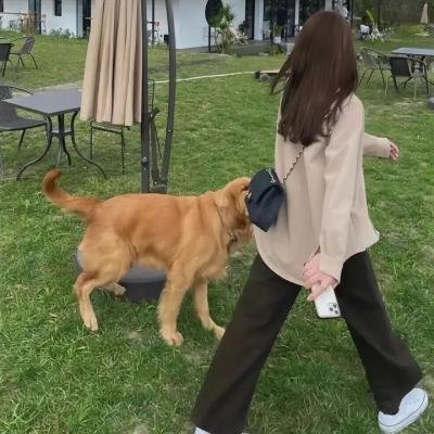 战后情鸳